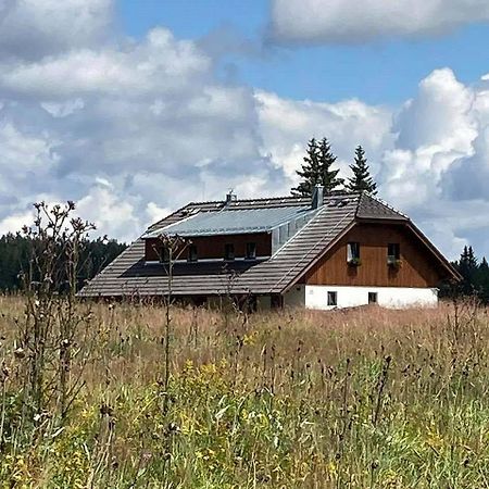 Apartmany V Chalupe Nad Modravou Модрава Экстерьер фото